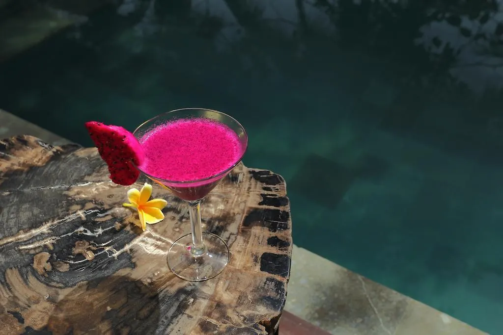 Temuku Ubud Villas