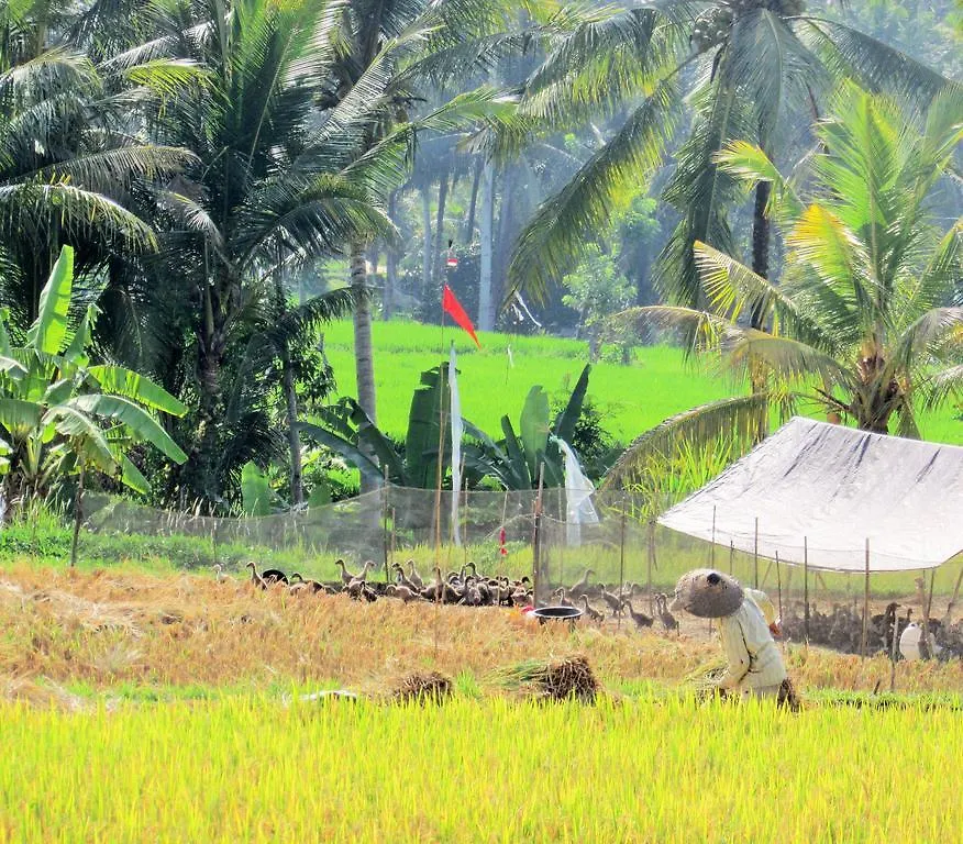 Temuku Ubud Villas