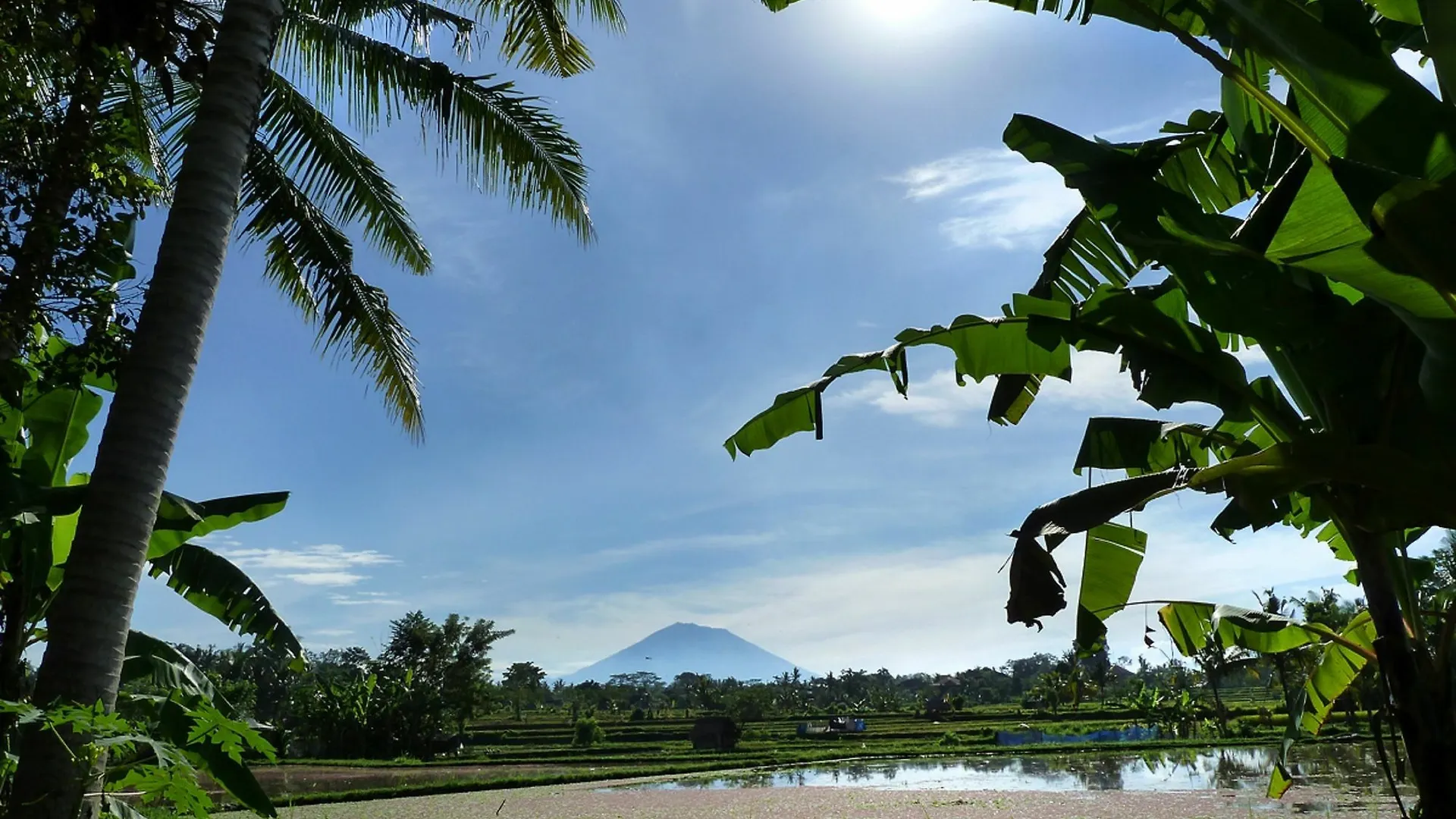 Temuku Ubud Villas