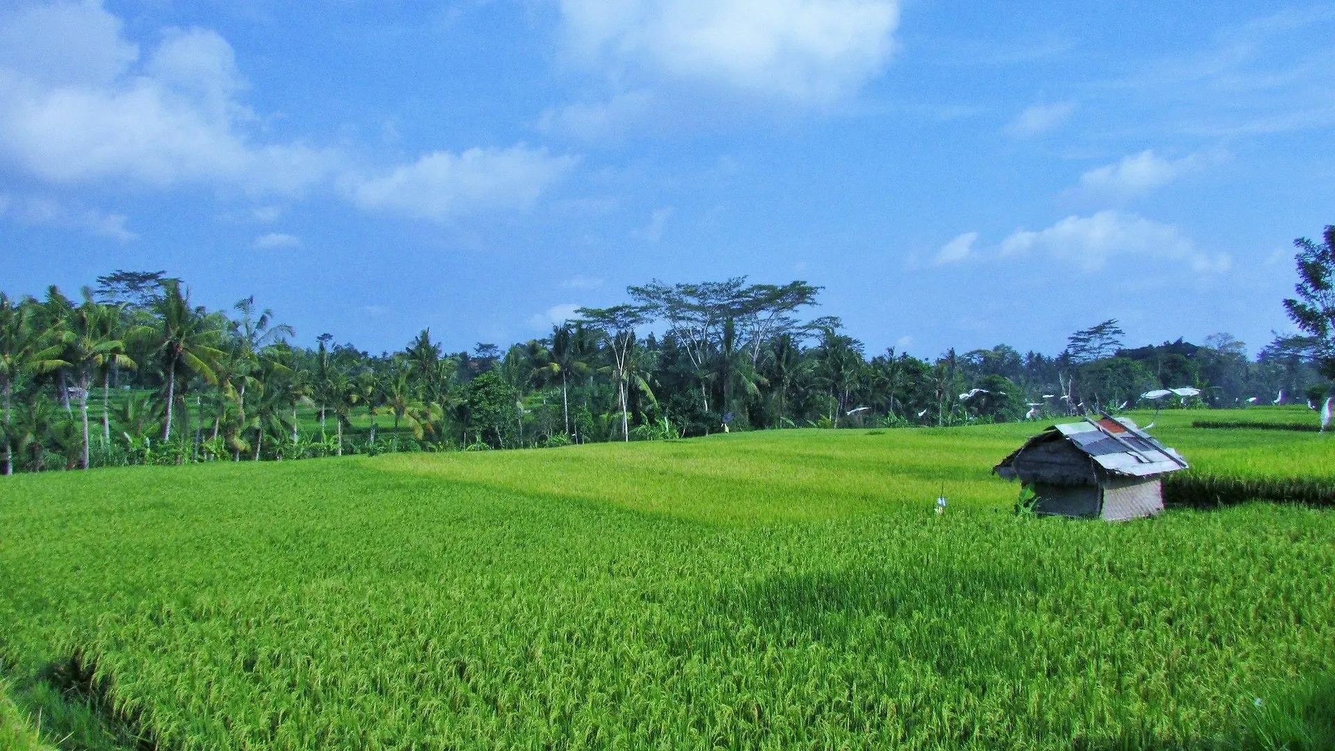 Temuku Ubud Villas 0*,